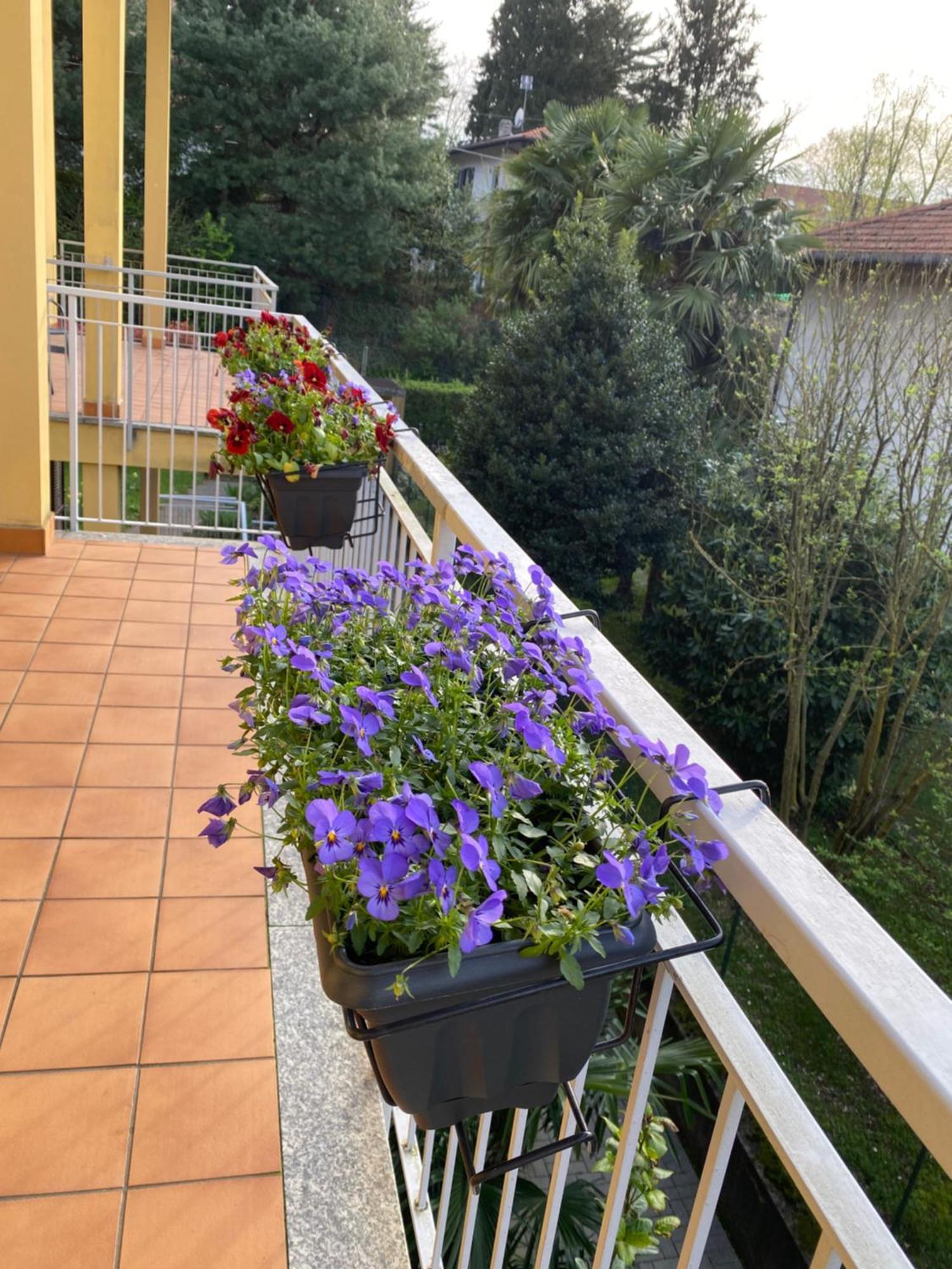 Appartamento Anna Lungo Fiume - Lago Maggiore Sesto Calende Zewnętrze zdjęcie