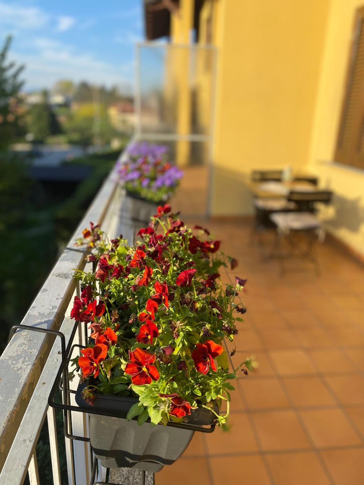 Appartamento Anna Lungo Fiume - Lago Maggiore Sesto Calende Zewnętrze zdjęcie